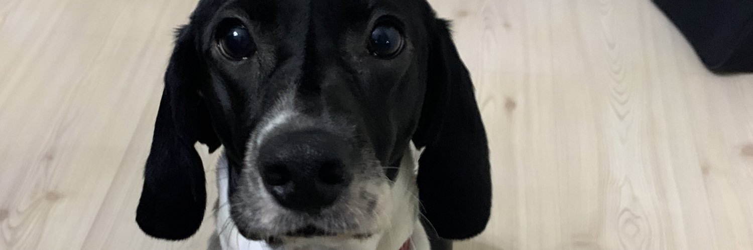 ceko67's profile banner image