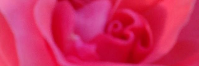 AlessandraZadro's profile banner image