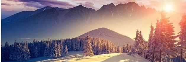 MSWM Official banner