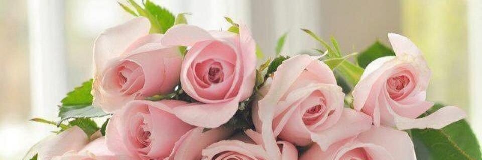 mony47428395's profile banner image