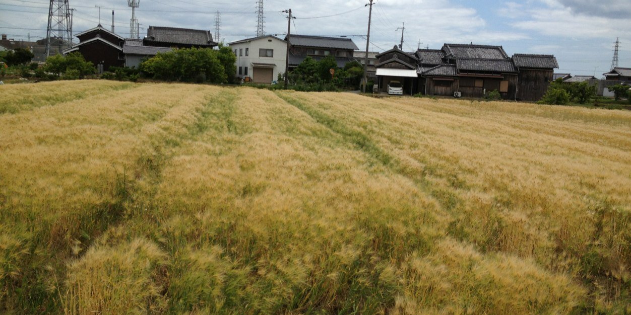 Daikichi0927's profile banner image