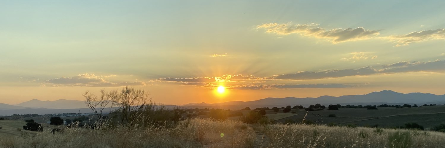 MReguilon's profile banner image