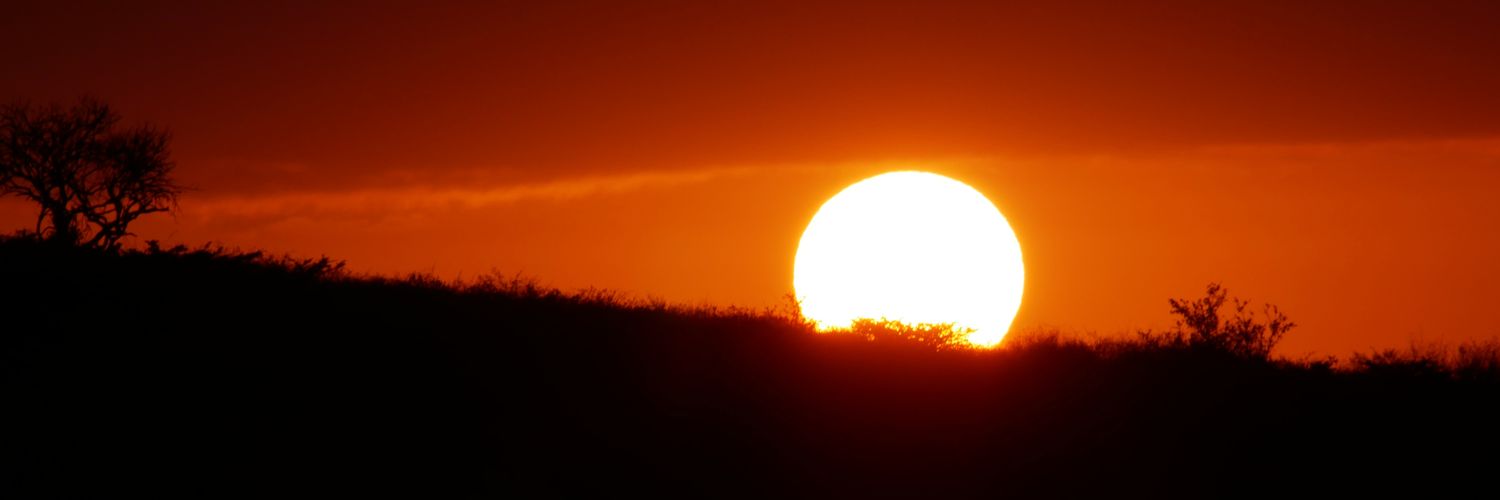 louiemerced's profile banner image