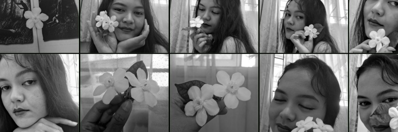 selenophileep's profile banner image