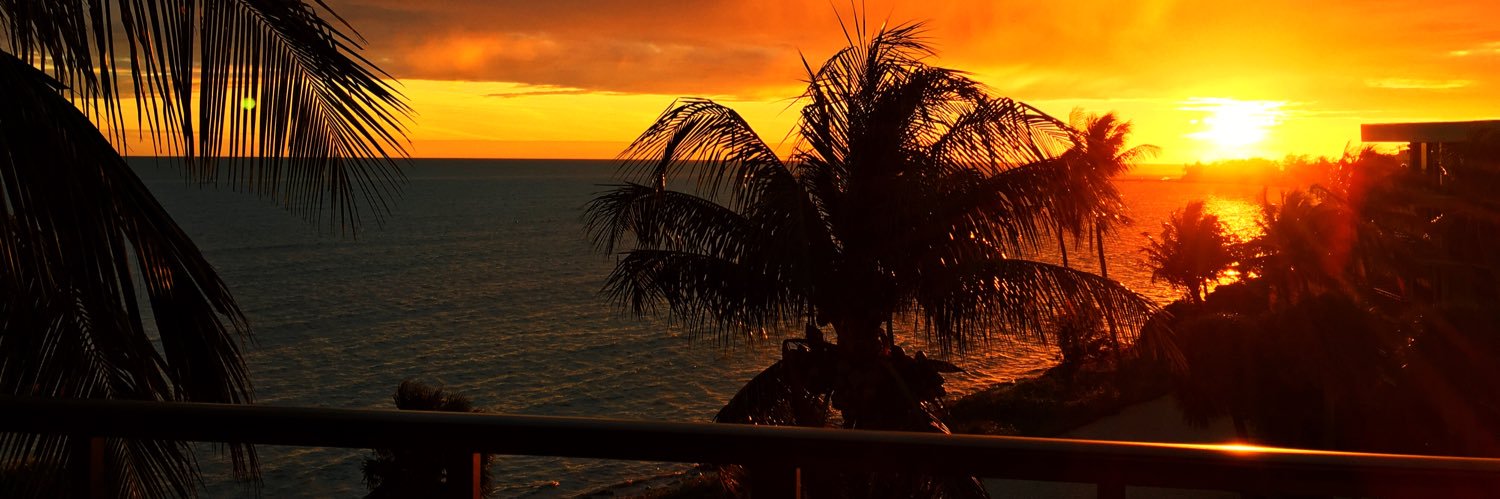 jamries's profile banner image