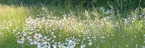 RachelJHere Profile Banner