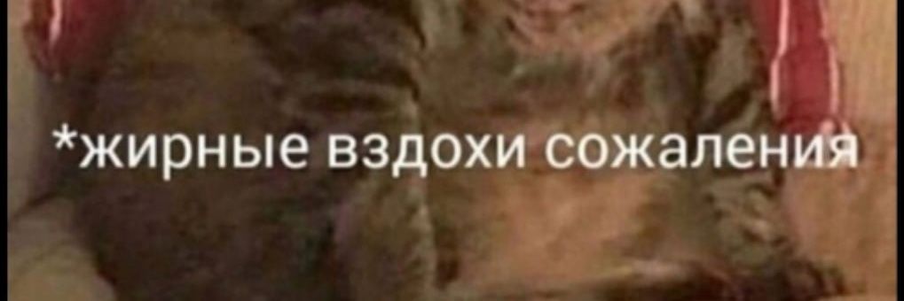 ZHEKAXA's profile banner image