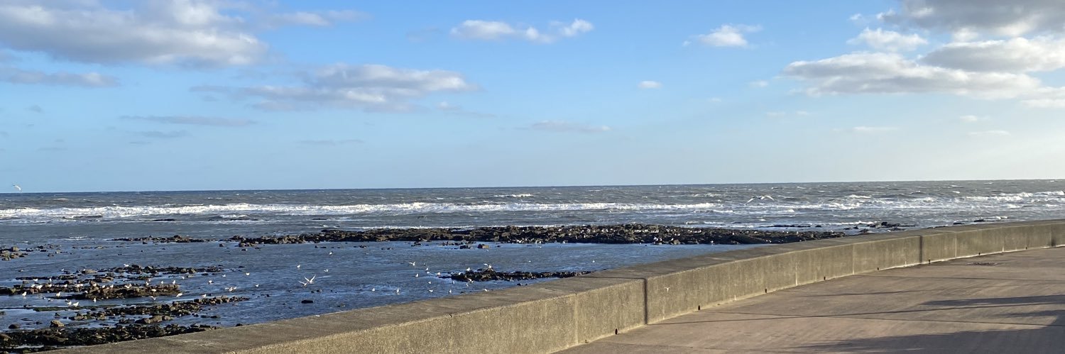 FranHartley's profile banner image