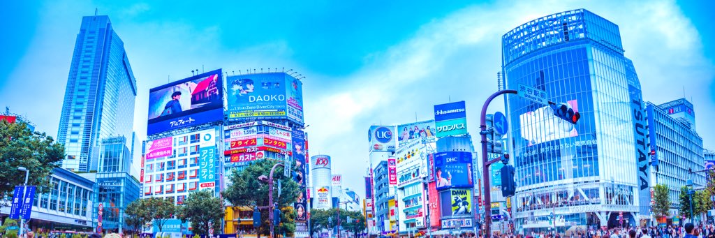 NiwaSfp's profile banner image