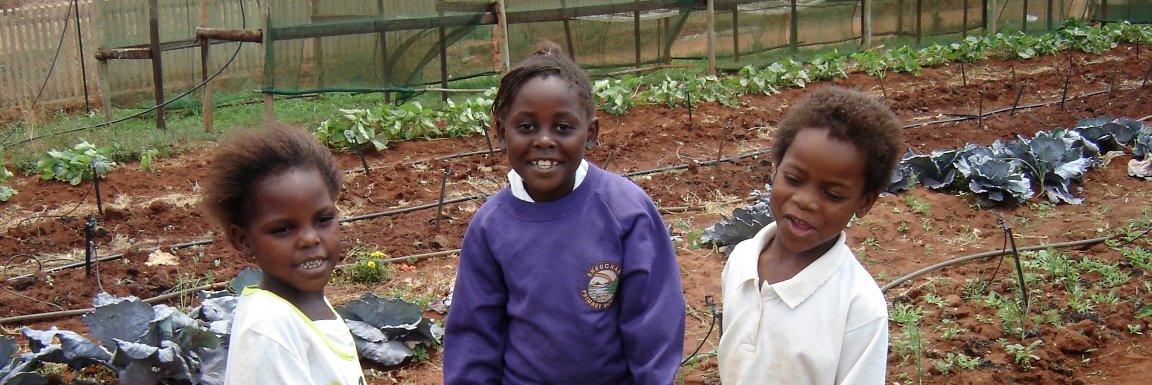 HopeForLimpopo's profile banner image