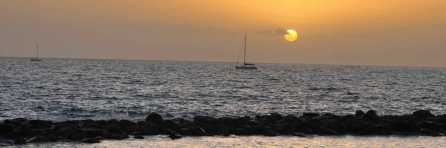 neereafernandez's profile banner image
