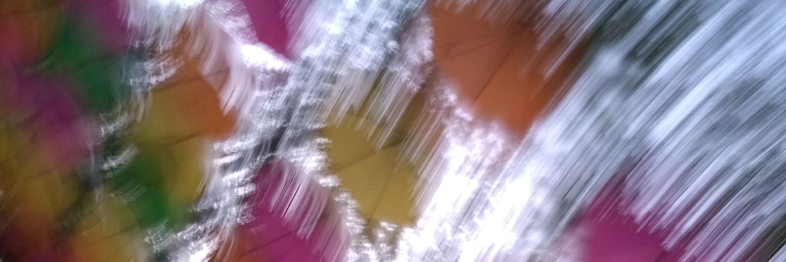 GuinaRodrigues's profile banner image
