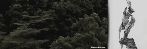 hessevgn Profile Banner