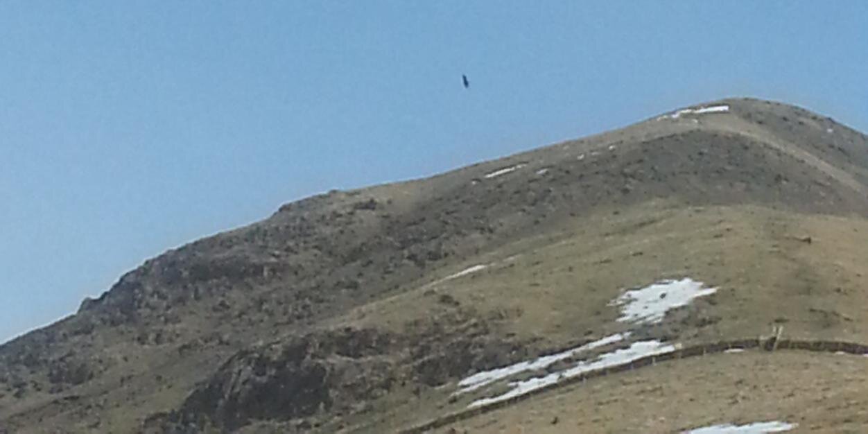 Tamzin Cuming banner