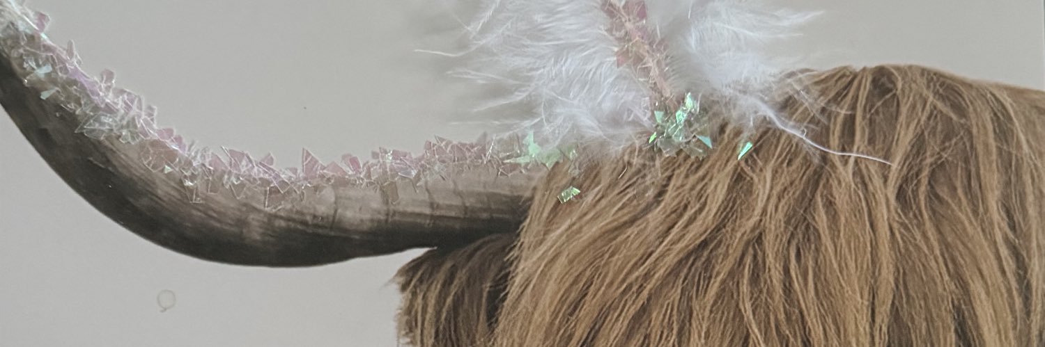 kinnil_k's profile banner image