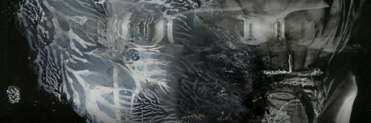 maud the moth banner