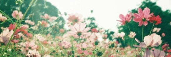 Jennifer O' Brien banner