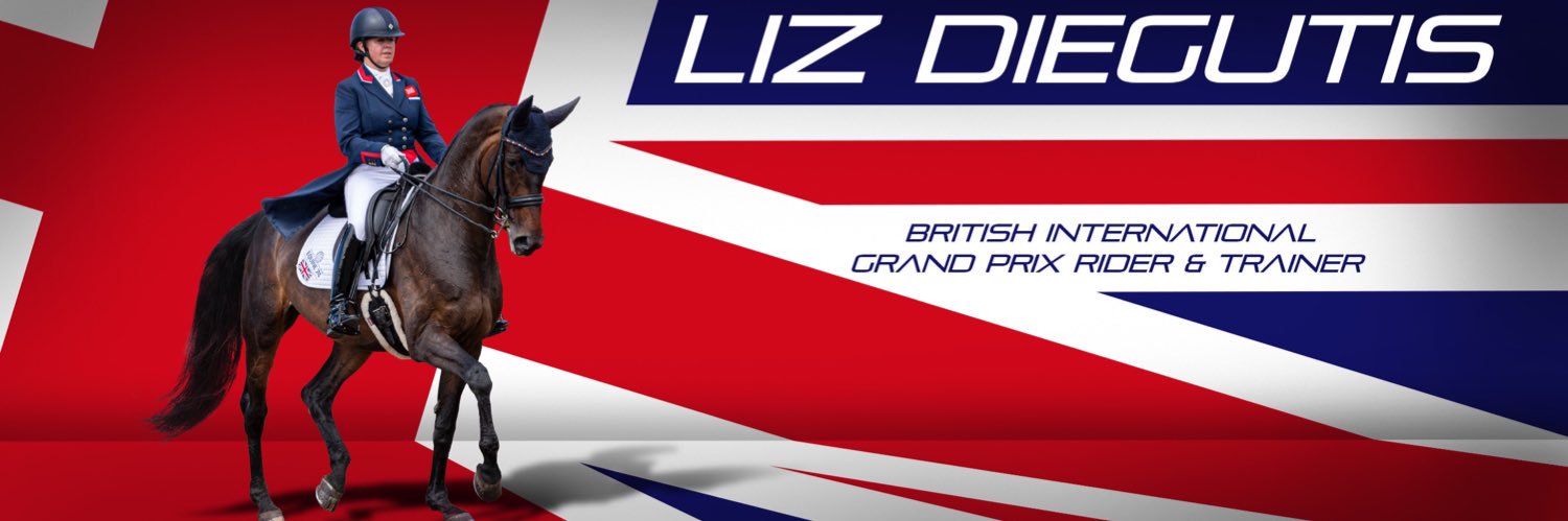 Liz Diegutis banner