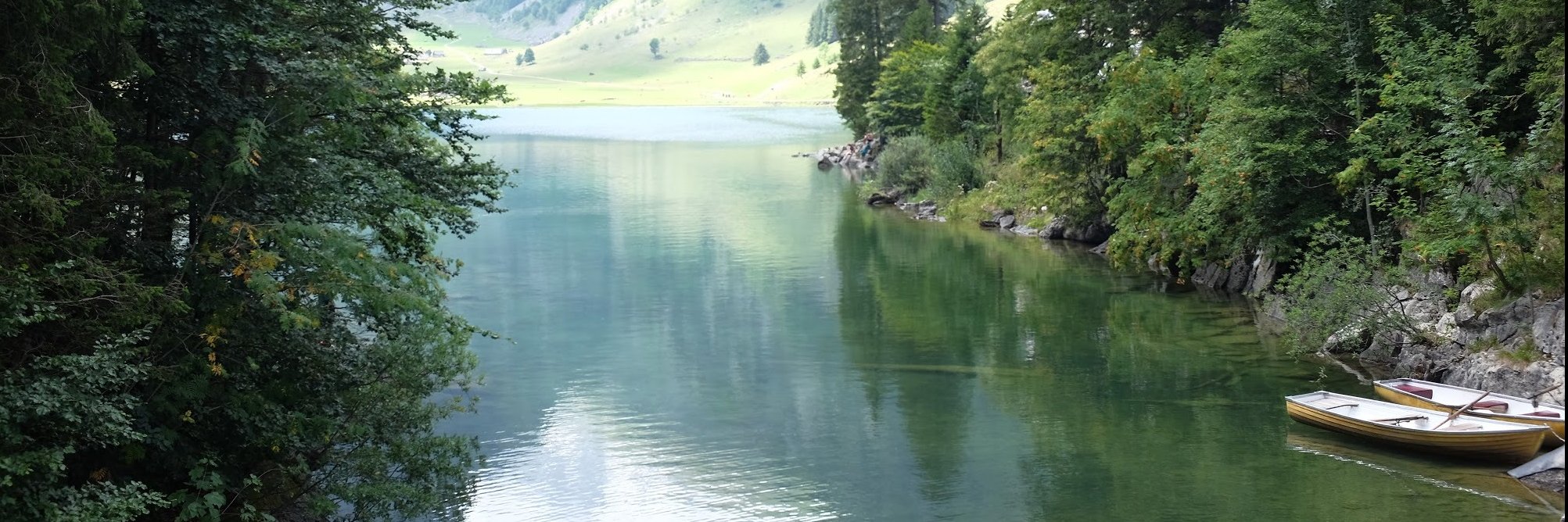 elandekel's profile banner image