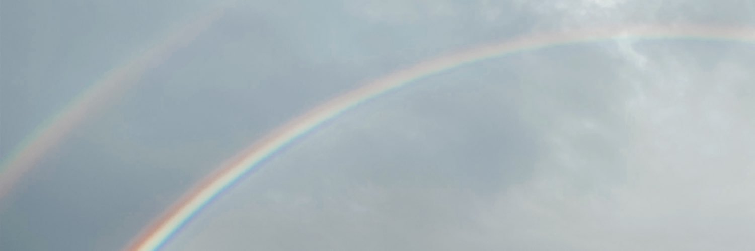M.isabel López banner
