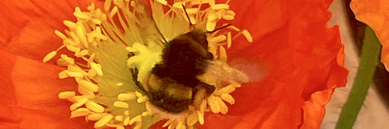 Reenee125's profile banner image