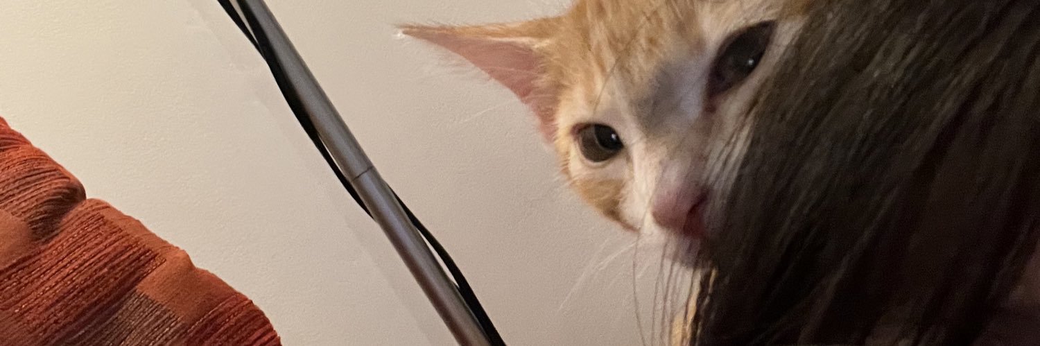 meeelinaj's profile banner image