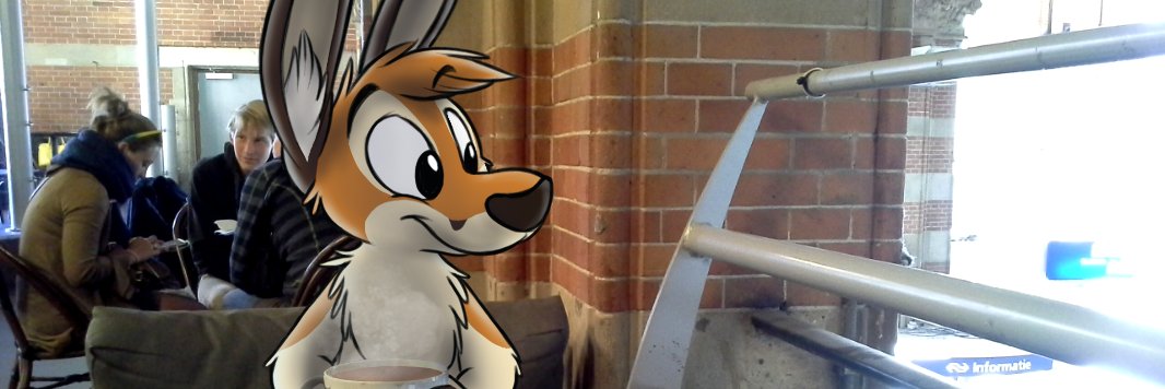 Ｋ Ａ Ｒ Ｐ Ｏ Ｕ Ｒ カンガルー 💙💛 banner