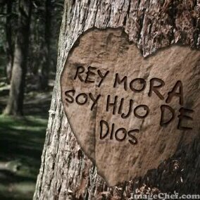 reymora63's profile banner image