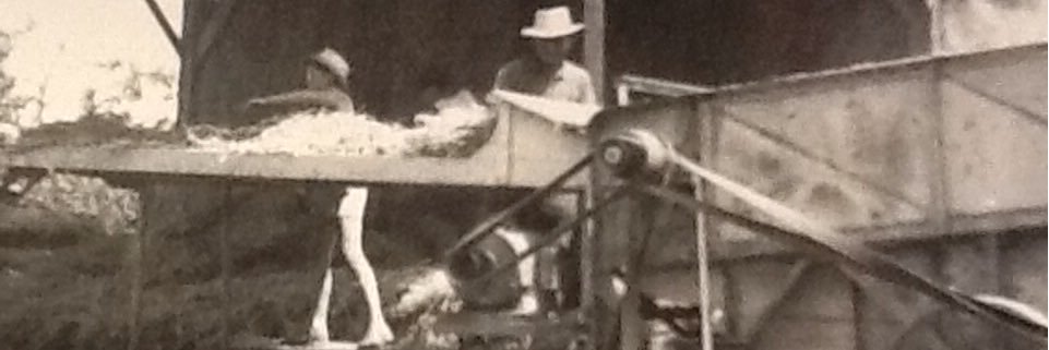 Gérard Pelhâte banner