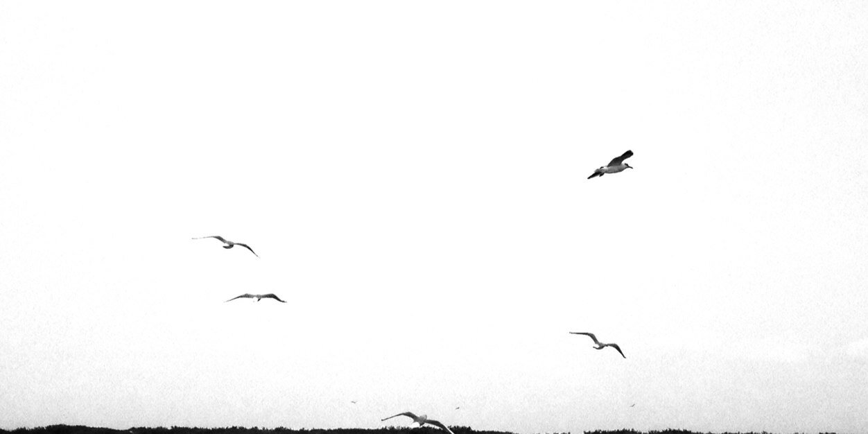 iayatAh's profile banner image