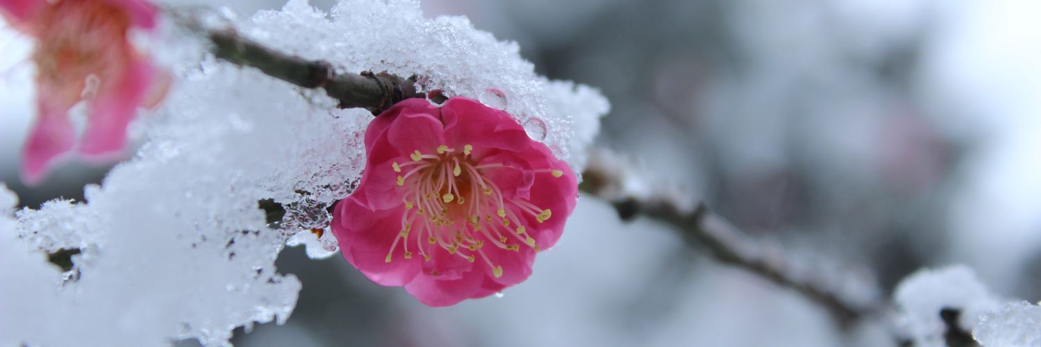 09_mi's profile banner image