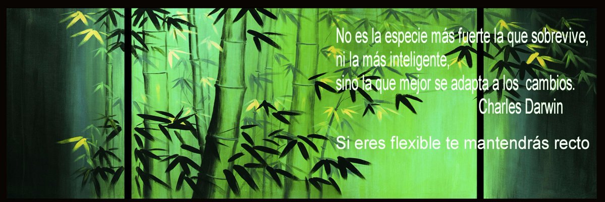 Agmart15's profile banner image