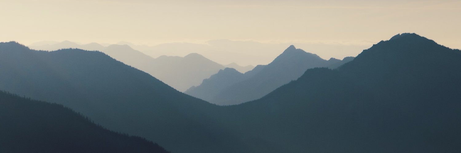 V banner