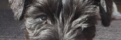 c9tts's profile banner image