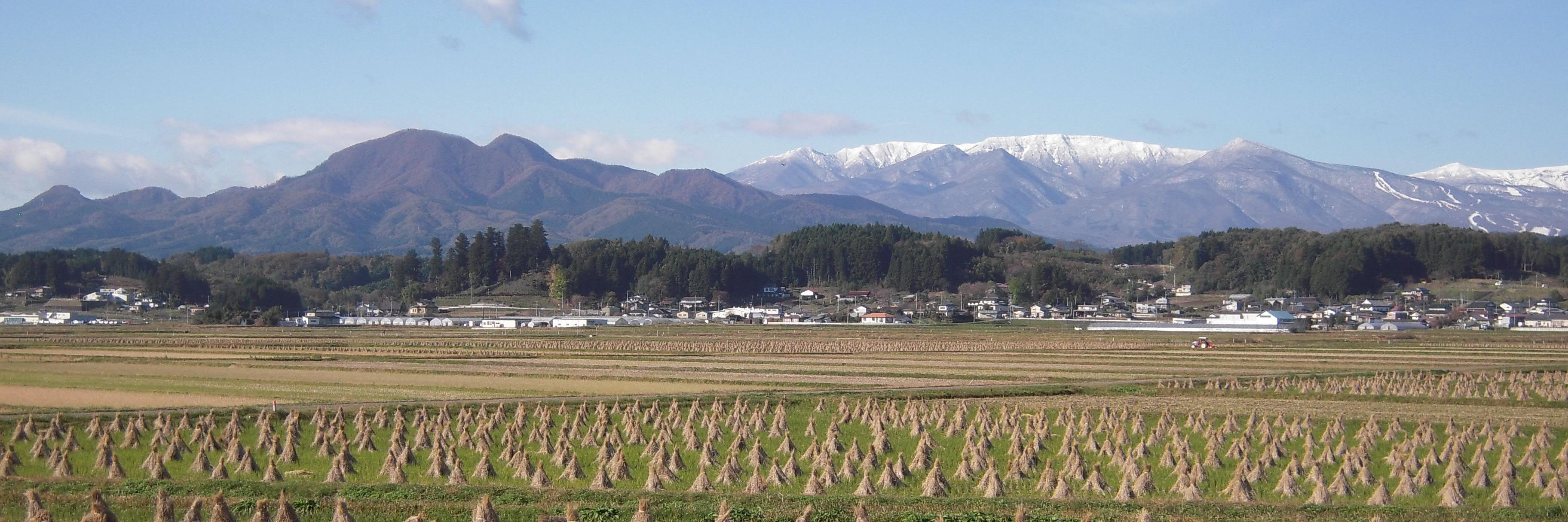_arcfish's profile banner image