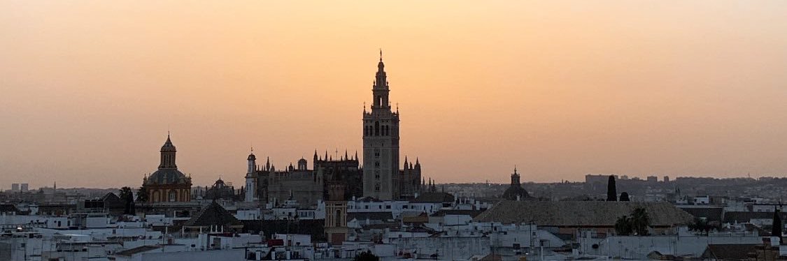 Fernando del Marco banner