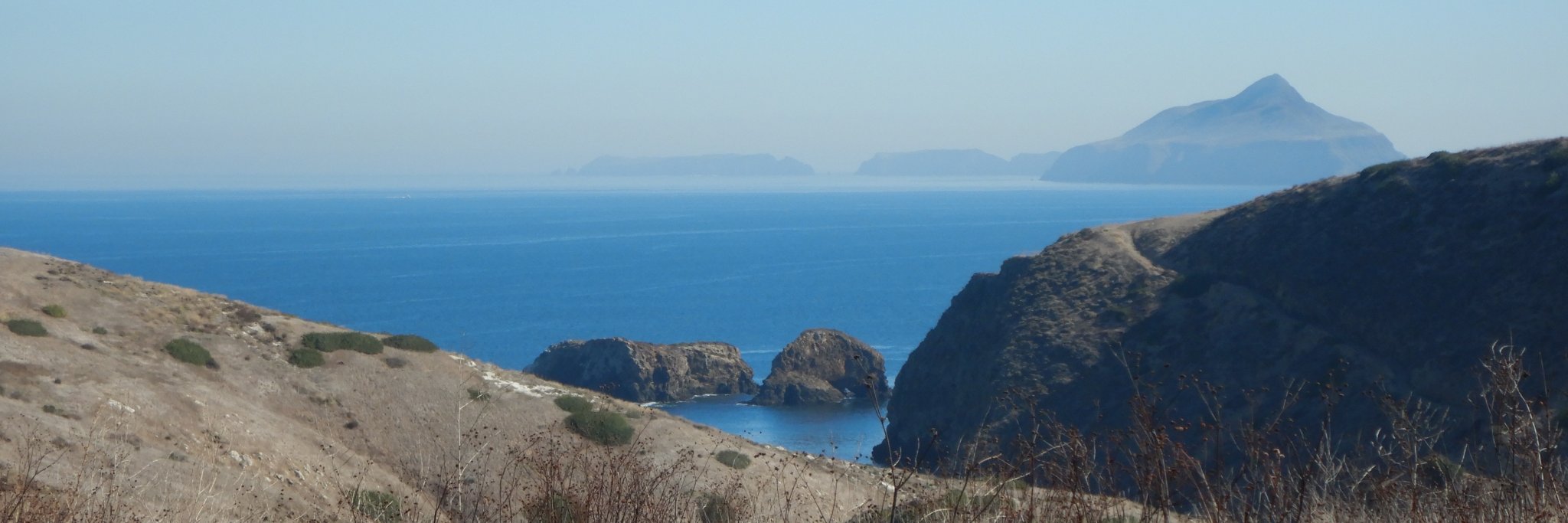 Laura S. Hamilton banner