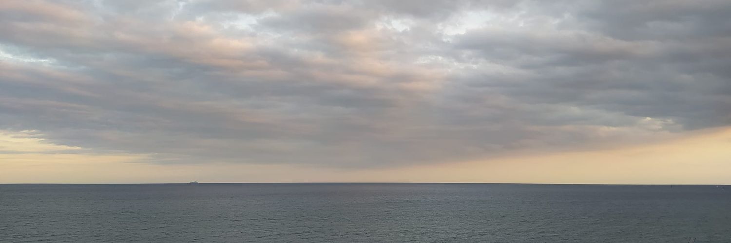 Adela Castellanos banner