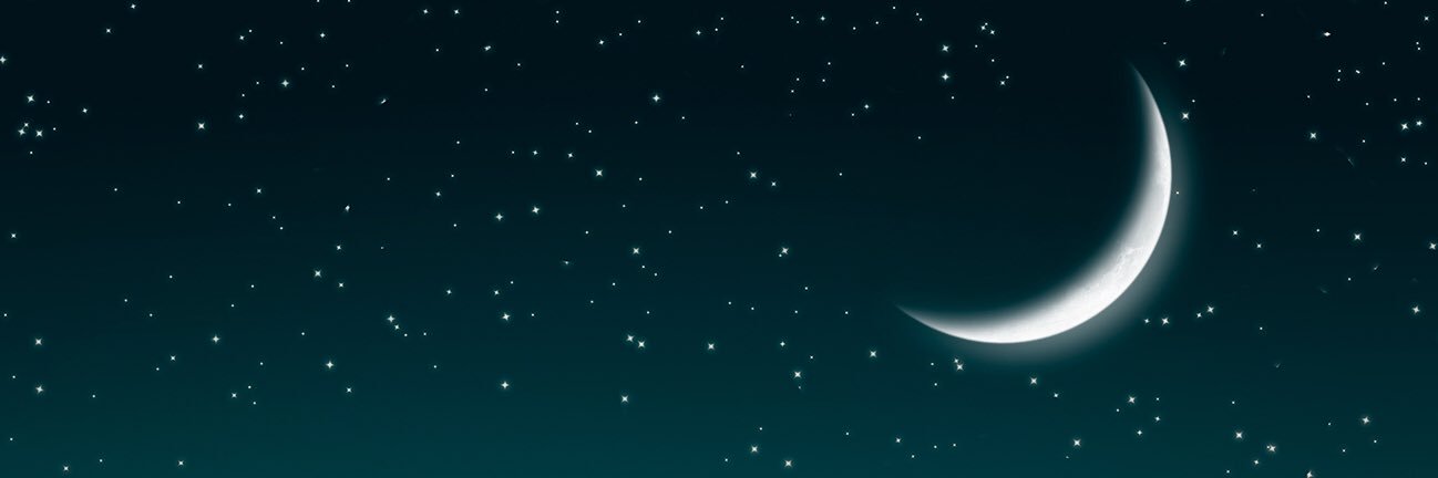 dan_muller's profile banner image