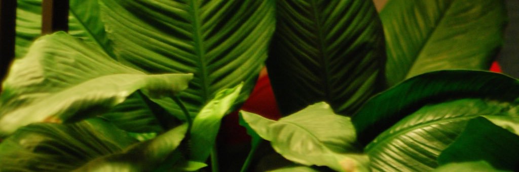 OutOfUrTeague's profile banner image