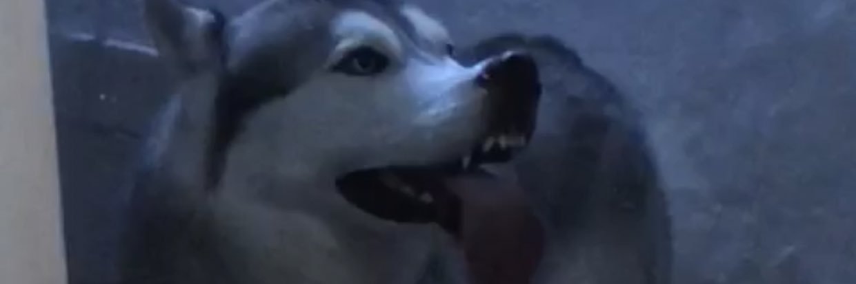 NirvanaProm's profile banner image