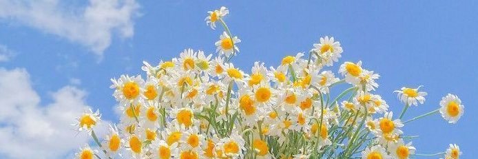 imyourmg__'s profile banner image