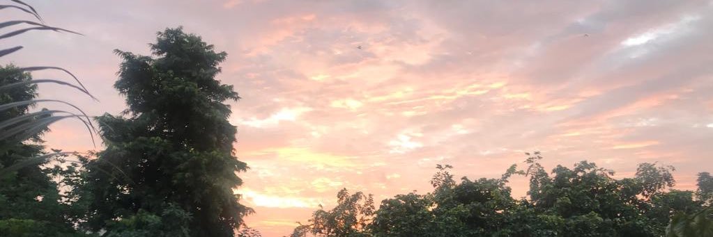 rohitrajput's profile banner image