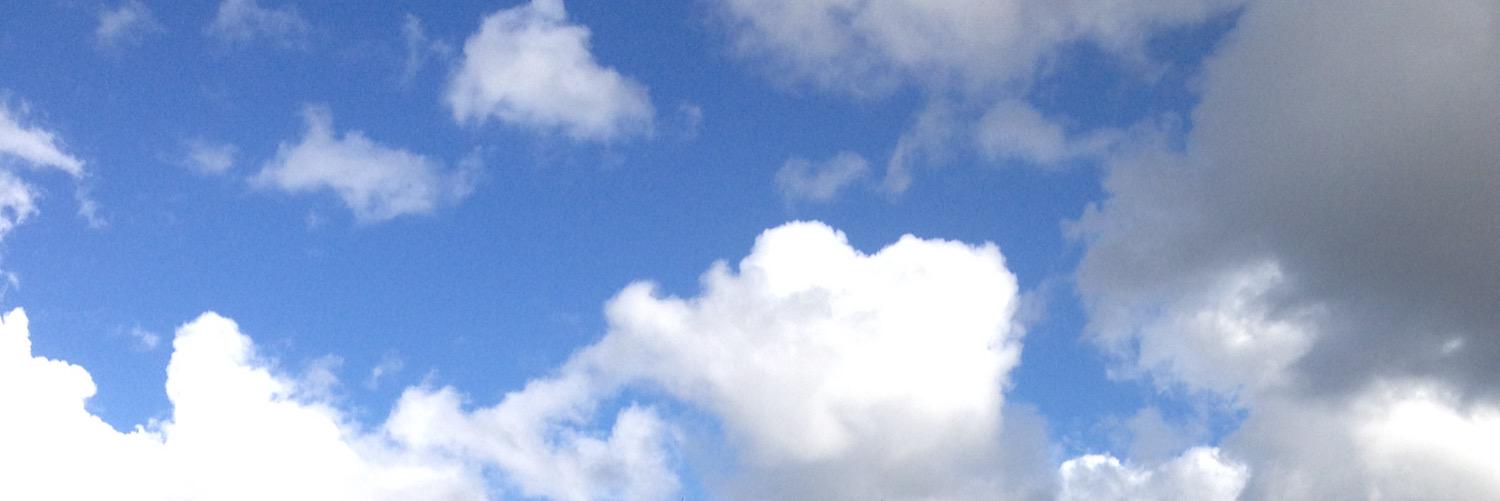 horikushty's profile banner image