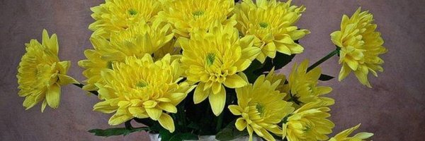 miranwords Profile Banner