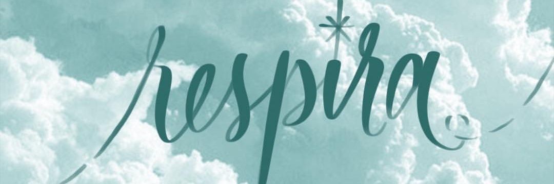 MajimherZ's profile banner image