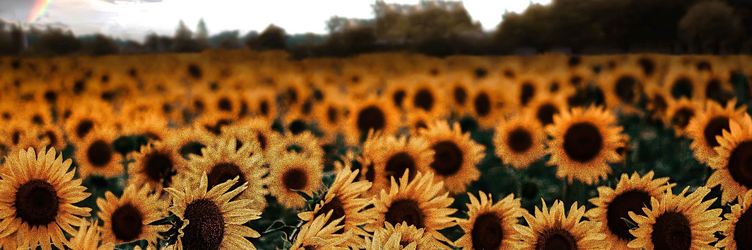 Jane Carroll 🌻 banner