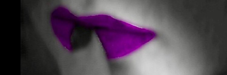 MissAllyBlue's profile banner image