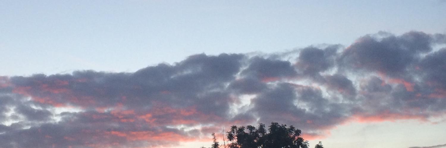 nourade's profile banner image