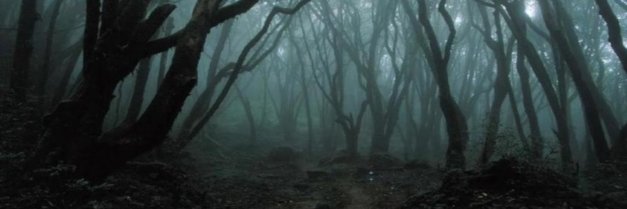 ThomasRydder's profile banner image